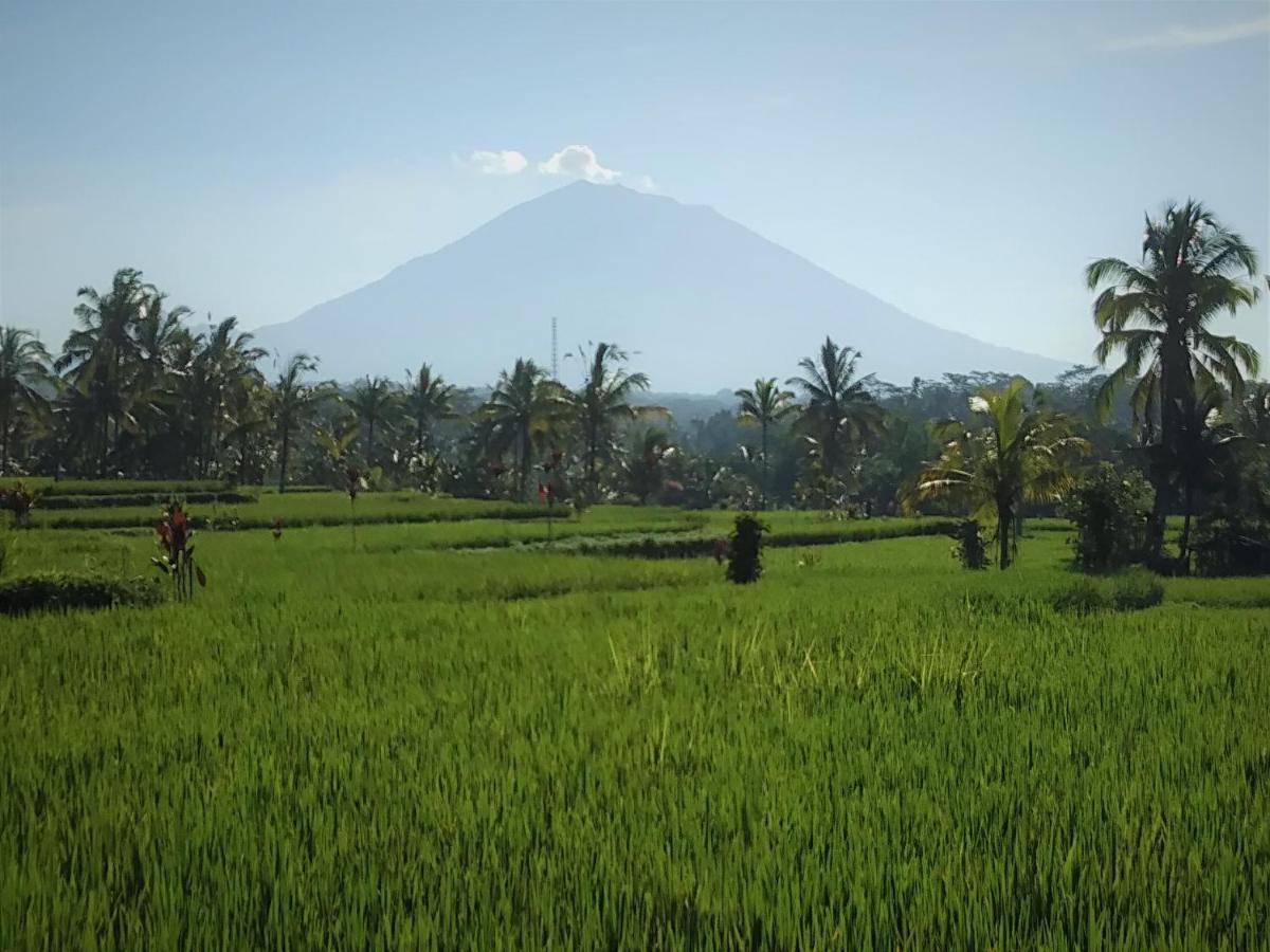Villa Rimba Ubud Tegallalang  Buitenkant foto