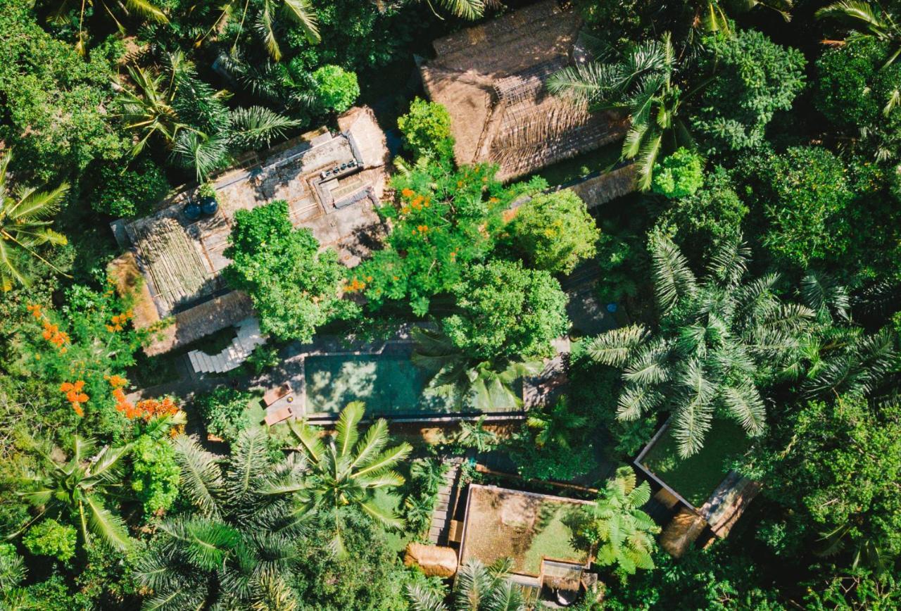 Villa Rimba Ubud Tegallalang  Buitenkant foto