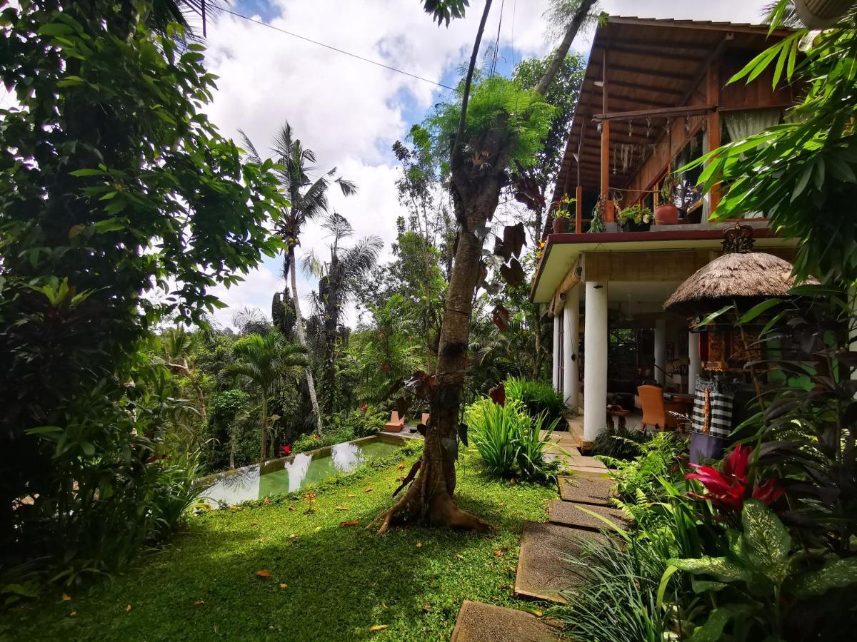 Villa Rimba Ubud Tegallalang  Buitenkant foto