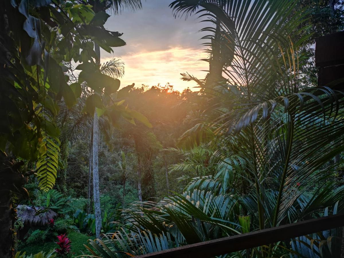 Villa Rimba Ubud Tegallalang  Buitenkant foto