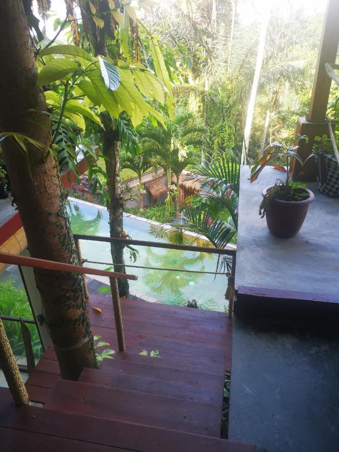 Villa Rimba Ubud Tegallalang  Buitenkant foto